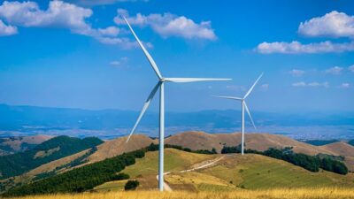 Navigating the Complexities of Eco-Law: How Environmental Legislation is Shaping 2026
