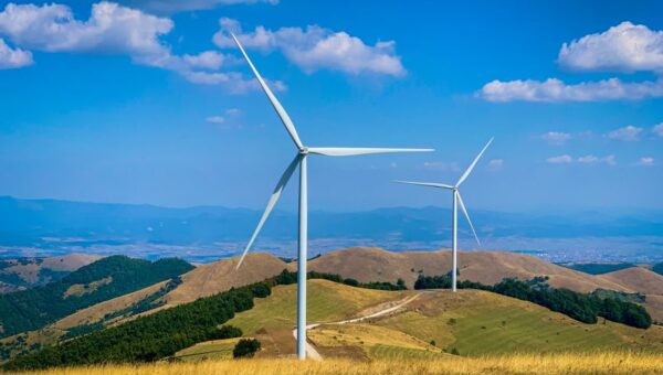Navigating the Complexities of Eco-Law: How Environmental Legislation is Shaping 2026